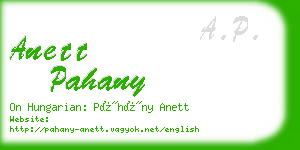anett pahany business card